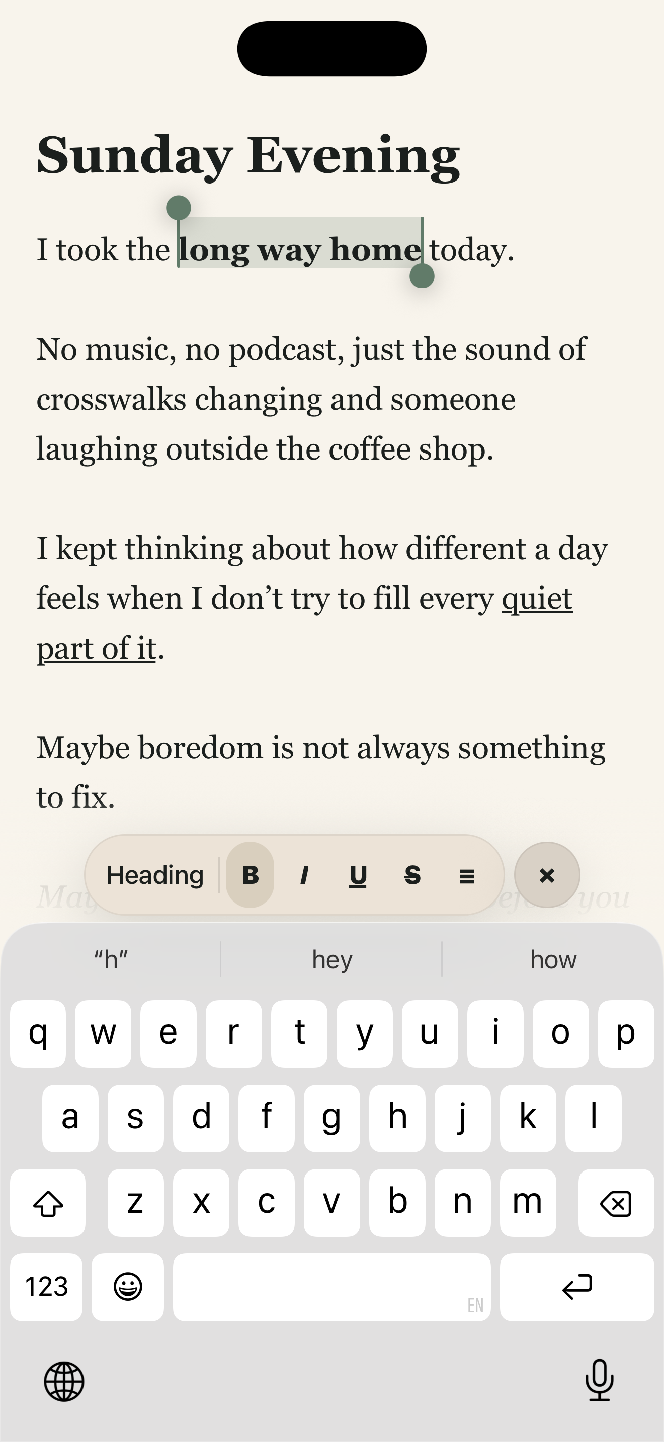 Quietleaf’s compact formatting controls while writing a note